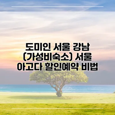 도미인 서울 강남 (가성비숙소) 서울 아고다 할인예약 비법
