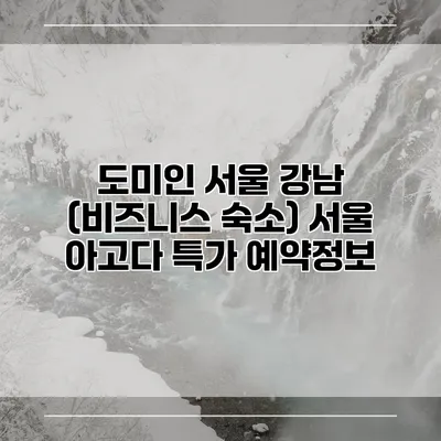 도미인 서울 강남 (비즈니스 숙소) 서울 아고다 특가 예약정보