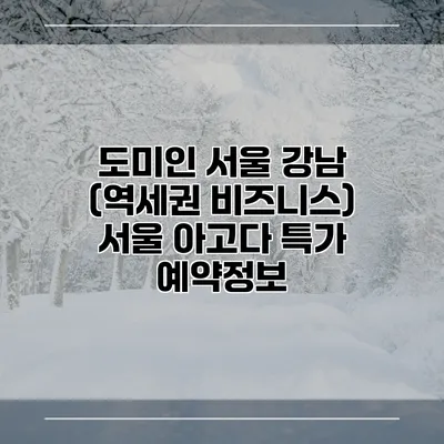 도미인 서울 강남 (역세권 비즈니스) 서울 아고다 특가 예약정보