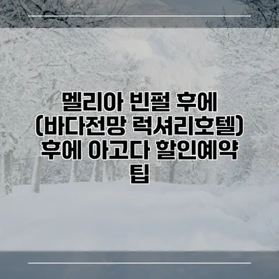 멜리아 빈펄 후에 (바다전망 럭셔리호텔) 후에 아고다 할인예약 팁