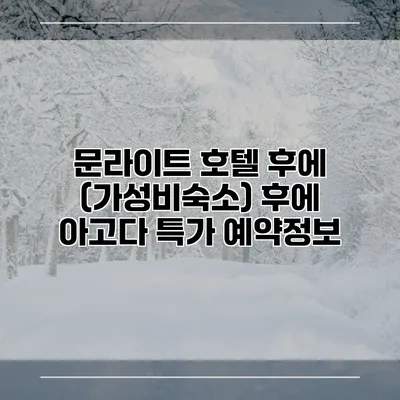 문라이트 호텔 후에 (가성비숙소) 후에 아고다 특가 예약정보