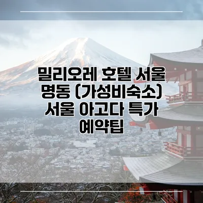 밀리오레 호텔 서울 명동 (가성비숙소) 서울 아고다 특가 예약팁