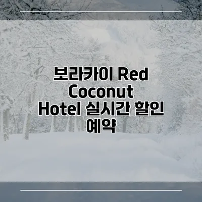보라카이 Red Coconut Hotel 실시간 할인 예약