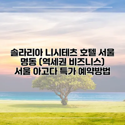 솔라리아 니시테츠 호텔 서울 명동 (역세권 비즈니스) 서울 아고다 특가 예약방법