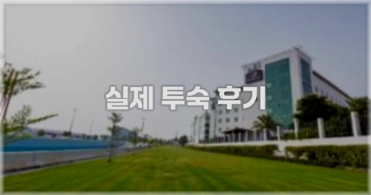 💬 실제 투숙 후기