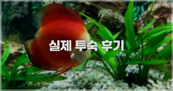 💬 실제 투숙 후기