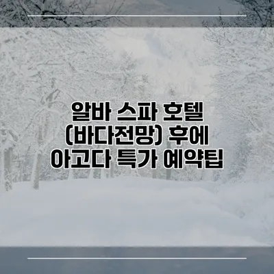 알바 스파 호텔 (바다전망) 후에 아고다 특가 예약팁