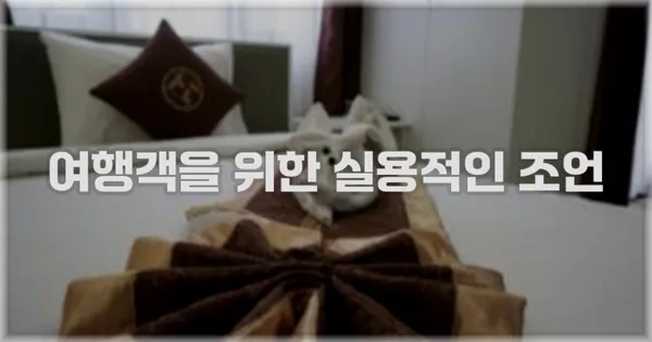 여행객을 위한 실용적인 조언