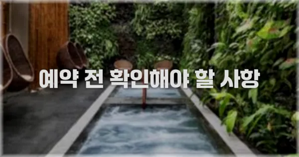 예약 전 확인해야 할 사항