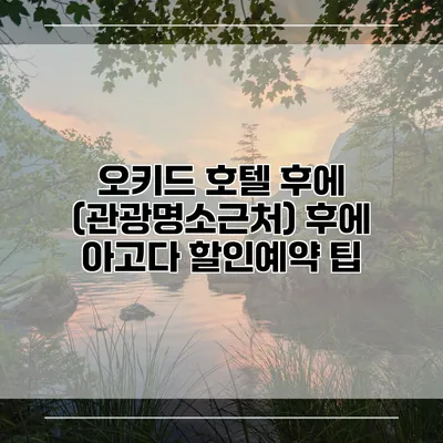 오키드 호텔 후에 (관광명소근처) 후에 아고다 할인예약 팁