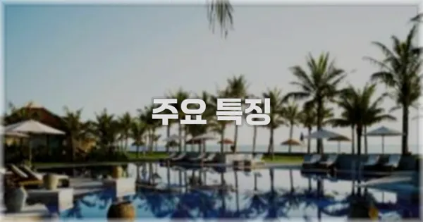 ✨ 주요 특징