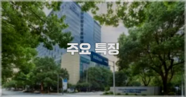✨ 주요 특징