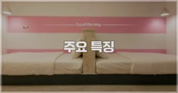 ✨ 주요 특징
