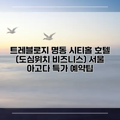 트레블로지 명동 시티홀 호텔 (도심위치 비즈니스) 서울 아고다 특가 예약팁