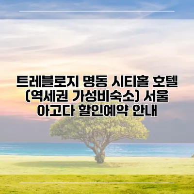 트레블로지 명동 시티홀 호텔 (역세권 가성비숙소) 서울 아고다 할인예약 안내