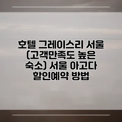 호텔 그레이스리 서울 (고객만족도 높은 숙소) 서울 아고다 할인예약 방법