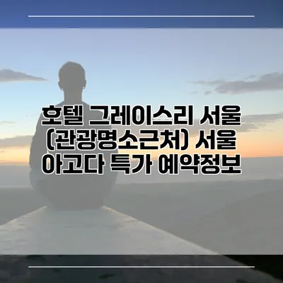 호텔 그레이스리 서울 (관광명소근처) 서울 아고다 특가 예약정보