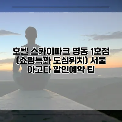 호텔 스카이파크 명동 1호점 (쇼핑특화 도심위치) 서울 아고다 할인예약 팁