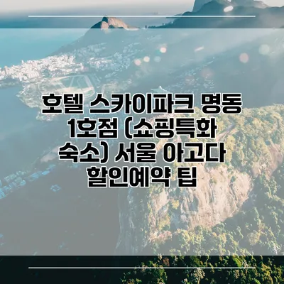 호텔 스카이파크 명동 1호점 (쇼핑특화 숙소) 서울 아고다 할인예약 팁