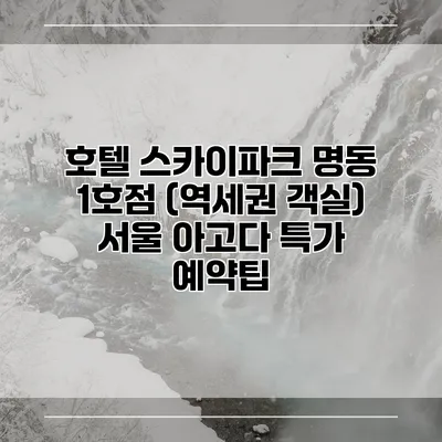호텔 스카이파크 명동 1호점 (역세권 객실) 서울 아고다 특가 예약팁