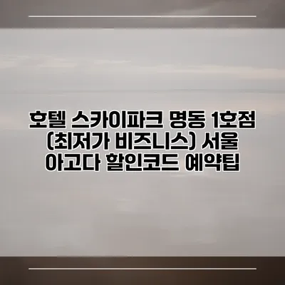 호텔 스카이파크 명동 1호점 (최저가 비즈니스) 서울 아고다 할인코드 예약팁