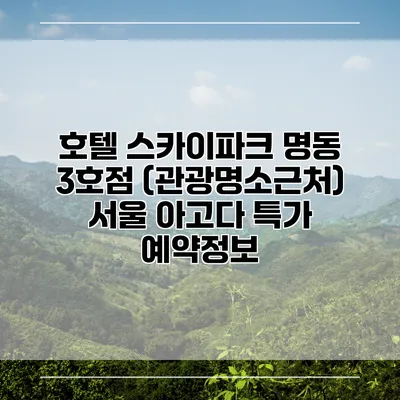 호텔 스카이파크 명동 3호점 (관광명소근처) 서울 아고다 특가 예약정보