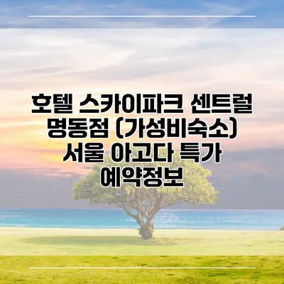 호텔 스카이파크 센트럴 명동점 (가성비숙소) 서울 아고다 특가 예약정보