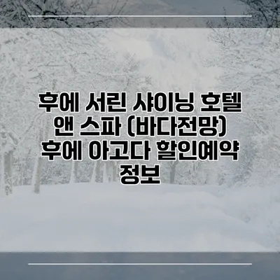 후에 서린 샤이닝 호텔 앤 스파 (바다전망) 후에 아고다 할인예약 정보