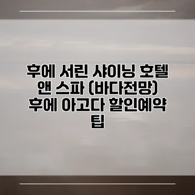 후에 서린 샤이닝 호텔 앤 스파 (바다전망) 후에 아고다 할인예약 팁